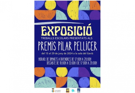 Exposición Premios Pilar Pellicer 2024