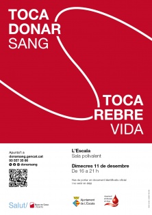 Donación voluntaria de sangre