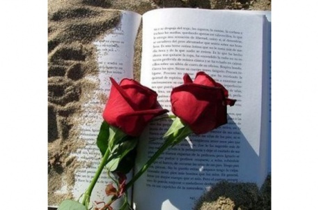 Festivitat de Sant Jordi. Venda de llibres i roses a la Platja