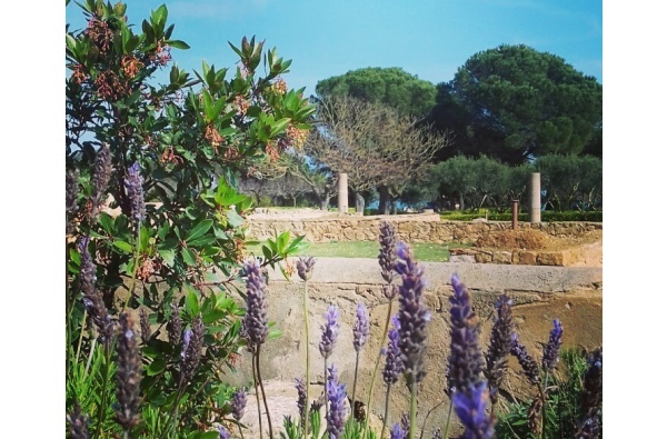 jardins i unguentes mac empuries visitlescala