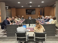 Modificació del pla de la Closa del Llop per afavorir el seu desenvolupament